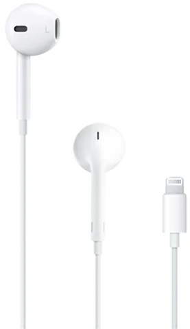 Genuine Apple Headphones - Lightning